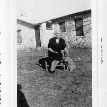 Photo of Bombi Dausin